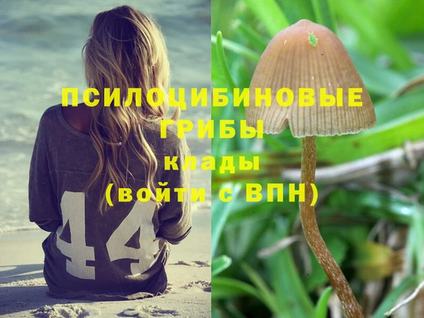 MDMA Premium VHQ Абинск