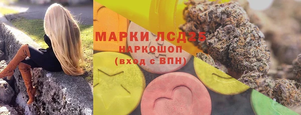 мяу мяу мука Алзамай